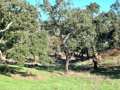 Terreno R�stico - S�o Francisco da Serra, Santiago do Cac�m, Set�bal