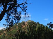 Terreno R�stico - S�o Francisco da Serra, Santiago do Cac�m, Set�bal - Miniatura: 8/9