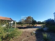 Quinta - Santa Margarida da Serra, Gr�ndola, Set�bal - Miniatura: 4/9