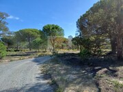 Terreno Urbano - Melides, Gr�ndola, Set�bal - Miniatura: 5/9