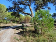 Terreno Urbano - Melides, Gr�ndola, Set�bal - Miniatura: 7/9