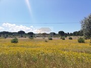Outros - Melides, Gr�ndola, Set�bal - Miniatura: 5/9