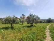 Terreno Rstico - Santa Margarida da Serra, Grndola, Setbal - Miniatura: 4/8
