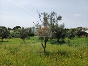 Terreno Rstico - Santa Margarida da Serra, Grndola, Setbal - Miniatura: 5/8