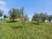 Terreno Rstico - Santa Margarida da Serra, Grndola, Setbal - Miniatura: 6/8