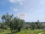 Terreno Rstico - Santa Margarida da Serra, Grndola, Setbal - Miniatura: 7/8
