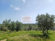 Terreno Rstico - Santa Margarida da Serra, Grndola, Setbal - Miniatura: 8/8