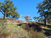 Terreno R�stico - S�o Francisco da Serra, Santiago do Cac�m, Set�bal - Miniatura: 6/9