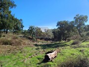 Terreno R�stico - S�o Francisco da Serra, Santiago do Cac�m, Set�bal - Miniatura: 7/9