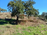 Terreno R�stico - S�o Francisco da Serra, Santiago do Cac�m, Set�bal - Miniatura: 8/9