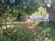 Moradia T4 - Santa Margarida da Serra, Gr�ndola, Set�bal - Miniatura: 7/9