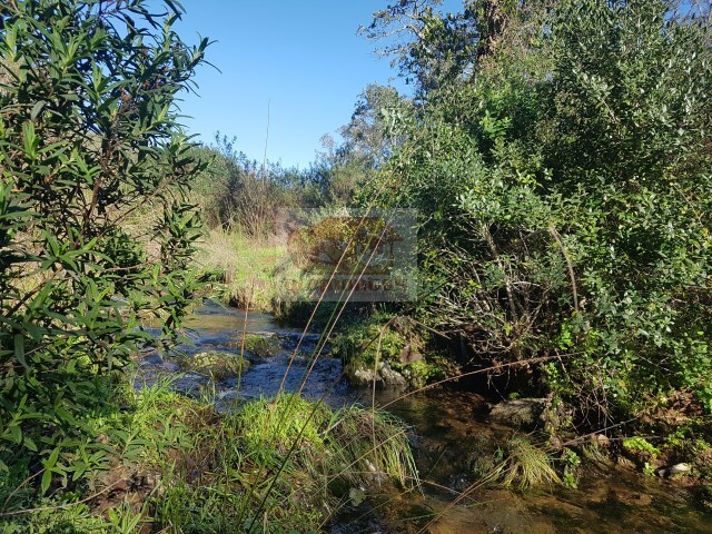 Terreno R�stico - S�o Francisco da Serra, Santiago do Cac�m, Set�bal - Imagem grande