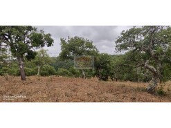 Terreno R�stico - Melides, Gr�ndola, Set�bal
