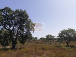 Terreno R�stico - Santa Margarida da Serra, Gr�ndola, Set�bal
