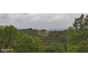Terreno R�stico - Melides, Gr�ndola, Set�bal - Miniatura: 1/7