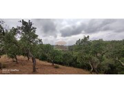 Terreno R�stico - Melides, Gr�ndola, Set�bal - Miniatura: 5/7