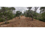 Terreno R�stico - Melides, Gr�ndola, Set�bal - Miniatura: 6/7