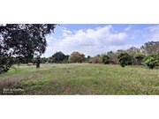 Terreno R�stico - Melides, Gr�ndola, Set�bal - Miniatura: 1/9