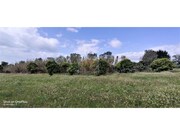 Terreno R�stico - Melides, Gr�ndola, Set�bal - Miniatura: 2/9