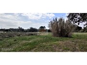 Terreno R�stico - Melides, Gr�ndola, Set�bal - Miniatura: 3/9