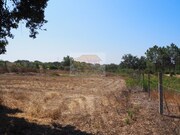 Terreno R�stico - Melides, Gr�ndola, Set�bal - Miniatura: 4/9
