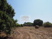 Terreno R�stico - Melides, Gr�ndola, Set�bal - Miniatura: 5/9