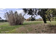 Terreno R�stico - Melides, Gr�ndola, Set�bal - Miniatura: 6/9