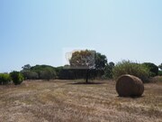 Terreno R�stico - Melides, Gr�ndola, Set�bal - Miniatura: 7/9
