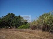Terreno R�stico - Melides, Gr�ndola, Set�bal - Miniatura: 8/9