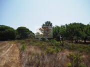 Terreno R�stico - Melides, Gr�ndola, Set�bal - Miniatura: 9/9