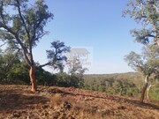 Terreno R�stico - S�o Francisco da Serra, Santiago do Cac�m, Set�bal - Miniatura: 5/9