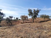 Terreno R�stico - S�o Francisco da Serra, Santiago do Cac�m, Set�bal - Miniatura: 7/9