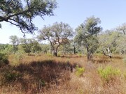Terreno R�stico - Santa Margarida da Serra, Gr�ndola, Set�bal - Miniatura: 1/8