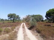 Terreno R�stico - Santa Margarida da Serra, Gr�ndola, Set�bal - Miniatura: 3/8