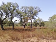 Terreno R�stico - Santa Margarida da Serra, Gr�ndola, Set�bal - Miniatura: 4/8