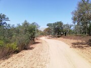 Terreno R�stico - Santa Margarida da Serra, Gr�ndola, Set�bal - Miniatura: 5/8