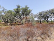 Terreno R�stico - Santa Margarida da Serra, Gr�ndola, Set�bal - Miniatura: 8/8