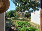Quinta T2 - Melides, Grndola, Setbal - Miniatura: 5/9