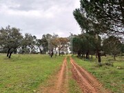 Terreno Urbano - S�o Domingos, Santiago do Cac�m, Set�bal - Miniatura: 5/9