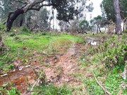 Terreno Urbano - S�o Domingos, Santiago do Cac�m, Set�bal - Miniatura: 6/9