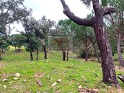 Terreno Urbano - S�o Domingos, Santiago do Cac�m, Set�bal - Miniatura: 7/9