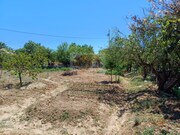 Quinta T2 - Melides, Gr�ndola, Set�bal - Miniatura: 7/9