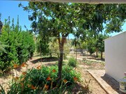 Quinta T2 - Melides, Gr�ndola, Set�bal - Miniatura: 9/9