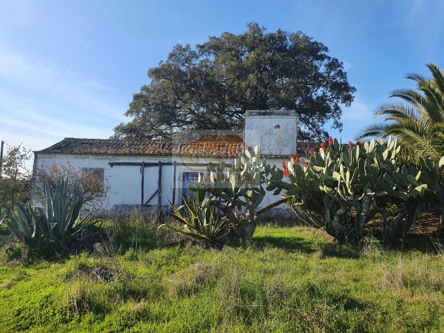 Terreno Urbano - Santa Margarida da Serra, Gr�ndola, Set�bal - Imagem grande