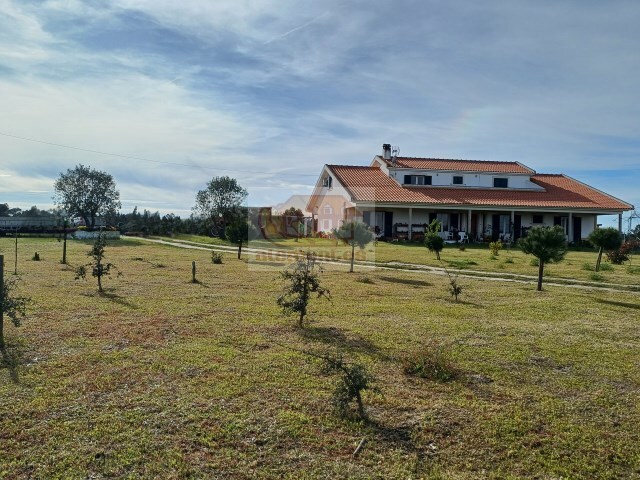 Quinta > T6 - Santa Margarida da Serra, Gr�ndola, Set�bal - Imagem grande