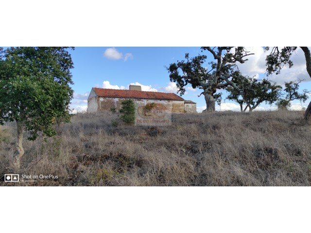 Terreno Urbano - Santa Margarida da Serra, Gr�ndola, Set�bal - Imagem grande