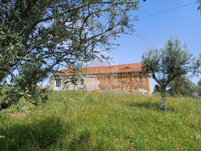 Terreno Urbano - Santa Margarida da Serra, Gr�ndola, Set�bal - Imagem grande
