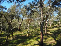Terreno R�stico - S�o Francisco da Serra, Santiago do Cac�m, Set�bal