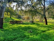 Terreno Urbano - Santa Margarida da Serra, Gr�ndola, Set�bal - Miniatura: 7/9