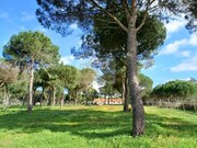 Quinta T4 - Santa Margarida da Serra, Gr�ndola, Set�bal - Miniatura: 2/9